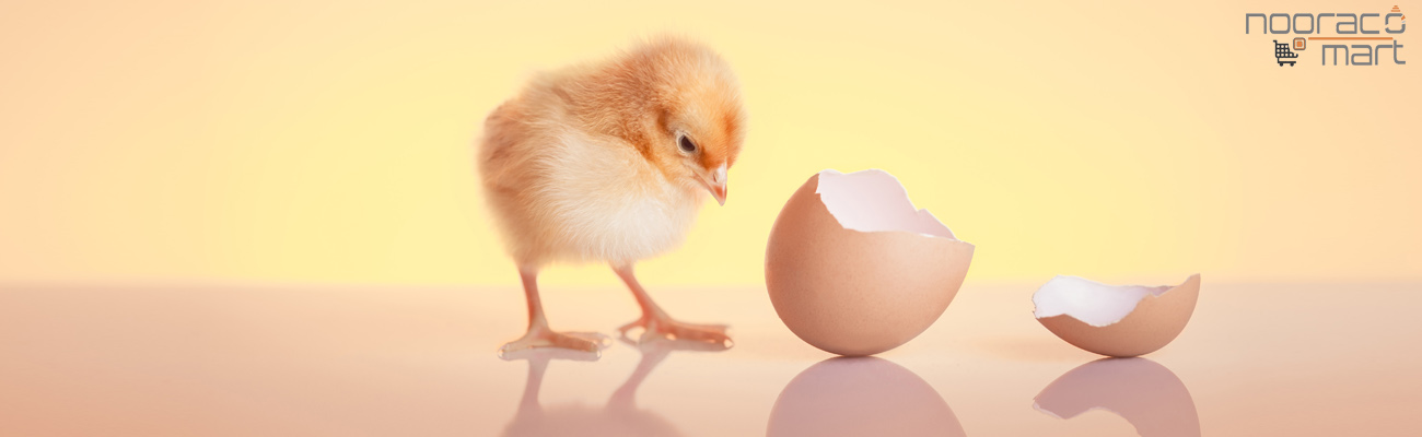 خرید لامپ مادون قرمز ۲۵۰ وات